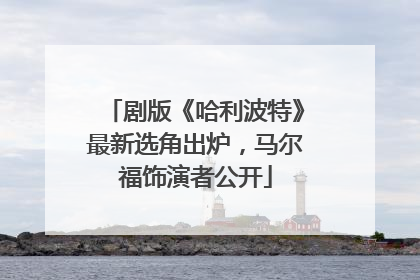 剧版《哈利波特》最新选角出炉，马尔福饰演者公开