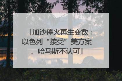 加沙停火再生变数：以色列“接受”美方案、哈马斯不认可