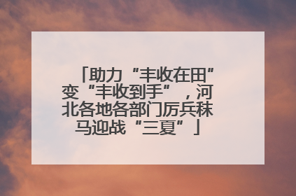 助力“丰收在田”变“丰收到手”，河北各地各部门厉兵秣马迎战“三夏”