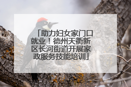助力妇女家门口就业！德州天衢新区长河街道开展家政服务技能培训