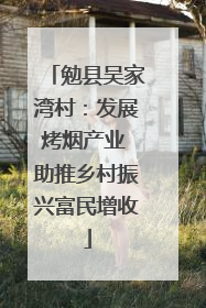 勉县吴家湾村：发展烤烟产业 助推乡村振兴富民增收
