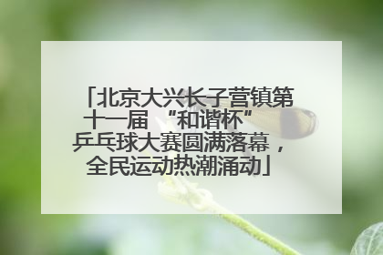北京大兴长子营镇第十一届 “和谐杯” 乒乓球大赛圆满落幕，全民运动热潮涌动