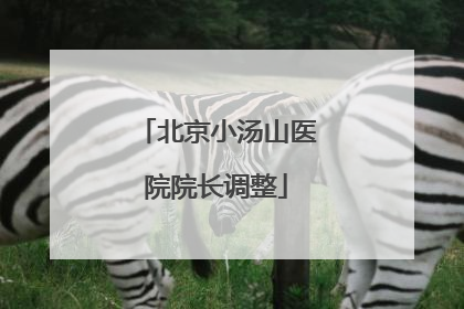 北京小汤山医院院长调整