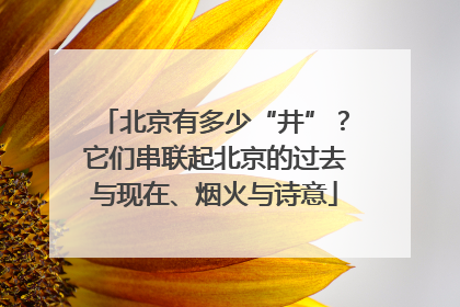 北京有多少“井”？它们串联起北京的过去与现在、烟火与诗意