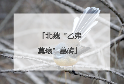 北魏“乙弗莫瓌”墓砖