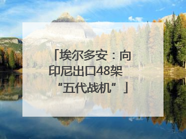 埃尔多安：向印尼出口48架“五代战机”