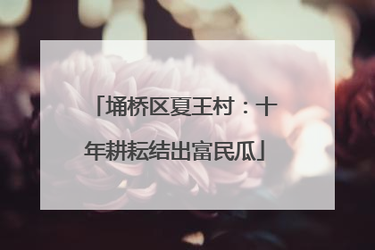 埇桥区夏王村：十年耕耘结出富民瓜