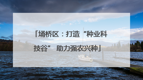 埇桥区：打造“种业科技谷” 助力强农兴种