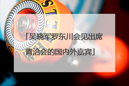 吴晓军罗东川会见出席青洽会的国内外嘉宾