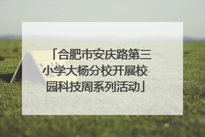 合肥市安庆路第三小学大杨分校开展校园科技周系列活动