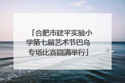合肥市建平实验小学第七届艺术节巴乌专场比赛圆满举行