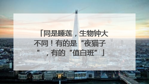 同是睡莲，生物钟大不同！有的是“夜猫子”，有的“值白班”