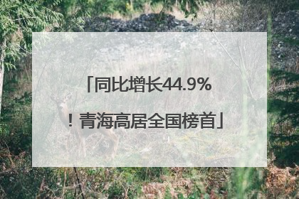 同比增长44.9%！青海高居全国榜首
