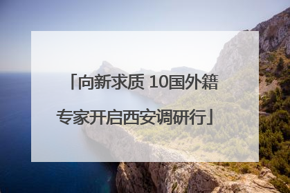 向新求质 10国外籍专家开启西安调研行