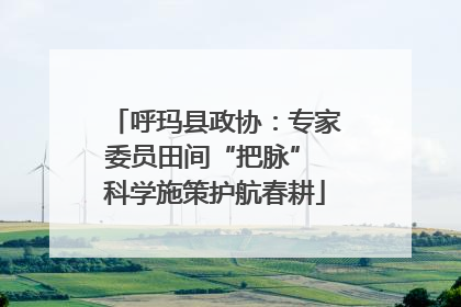 呼玛县政协：专家委员田间“把脉” 科学施策护航春耕