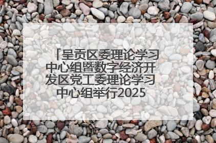 呈贡区委理论学习中心组暨数字经济开发区党工委理论学习中心组举行2025年第七次学习会议