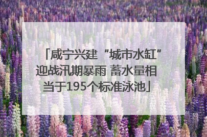 咸宁兴建“城市水缸”迎战汛期暴雨 蓄水量相当于195个标准泳池