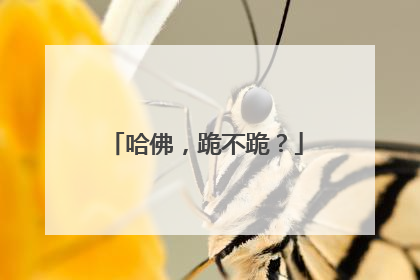 哈佛，跪不跪？