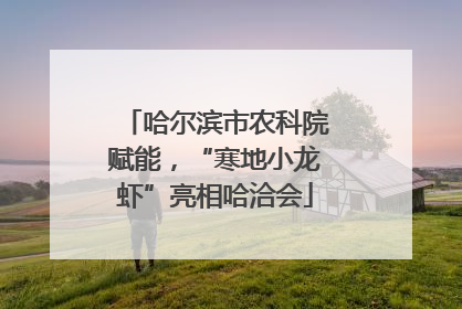 哈尔滨市农科院赋能，“寒地小龙虾”亮相哈洽会