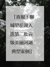 喜报！聊城望岳湖入选第二批省级美丽河湖典型案例