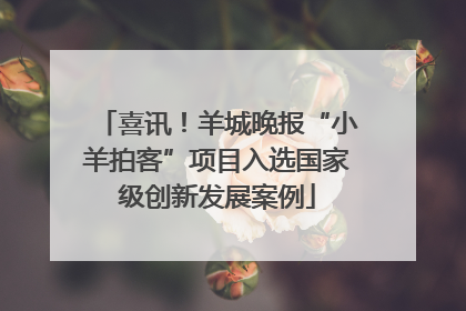 喜讯！羊城晚报“小羊拍客”项目入选国家级创新发展案例