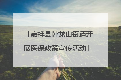 嘉祥县卧龙山街道开展医保政策宣传活动
