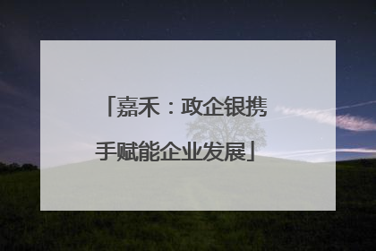 嘉禾：政企银携手赋能企业发展