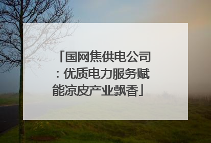 国网焦供电公司：优质电力服务赋能凉皮产业飘香