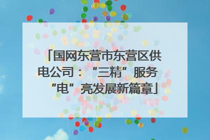 国网东营市东营区供电公司：“三精”服务“电”亮发展新篇章
