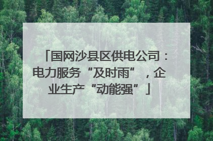 国网沙县区供电公司：电力服务“及时雨”，企业生产“动能强”