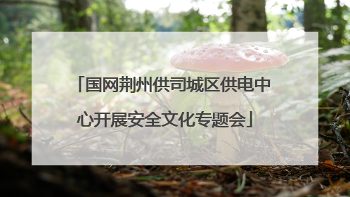 国网荆州供司城区供电中心开展安全文化专题会