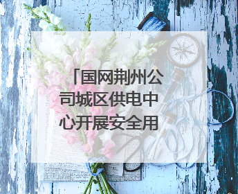 国网荆州公司城区供电中心开展安全用电宣传活动
