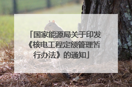 国家能源局关于印发《核电工程定额管理暂行办法》的通知