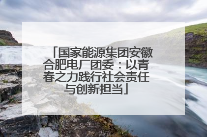 国家能源集团安徽合肥电厂团委：以青春之力践行社会责任与创新担当