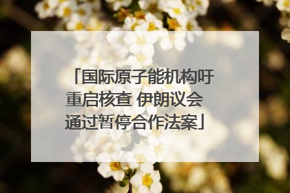 国际原子能机构吁重启核查 伊朗议会通过暂停合作法案