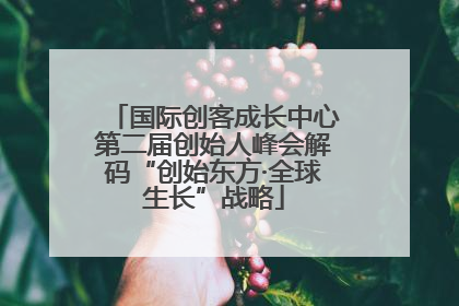 国际创客成长中心第二届创始人峰会解码“创始东方·全球生长”战略