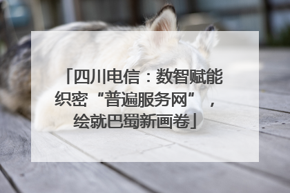 四川电信：数智赋能织密“普遍服务网”，绘就巴蜀新画卷