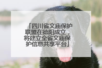 四川省文庙保护联盟在德阳成立，将建立全省文庙保护信息共享平台