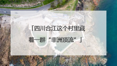 四川合江这个村里藏着一群“非洲顶流”