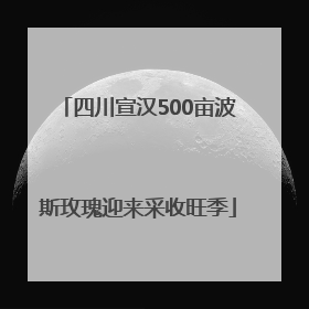 四川宣汉500亩波斯玫瑰迎来采收旺季