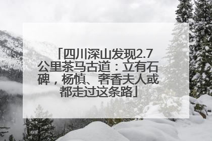 四川深山发现2.7公里茶马古道：立有石碑，杨慎、奢香夫人或都走过这条路