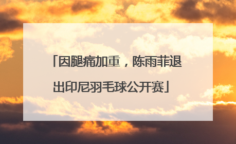 因腿痛加重，陈雨菲退出印尼羽毛球公开赛