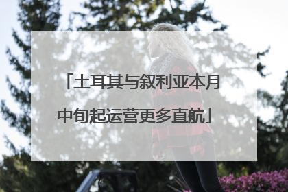 土耳其与叙利亚本月中旬起运营更多直航