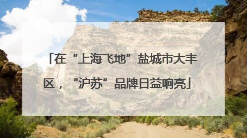 在“上海飞地”盐城市大丰区，“沪苏”品牌日益响亮