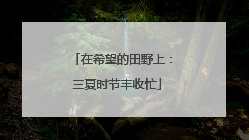 在希望的田野上：三夏时节丰收忙