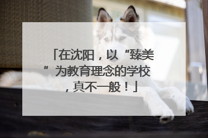 在沈阳，以“臻美”为教育理念的学校，真不一般！