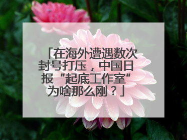 在海外遭遇数次封号打压，中国日报“起底工作室”为啥那么刚？