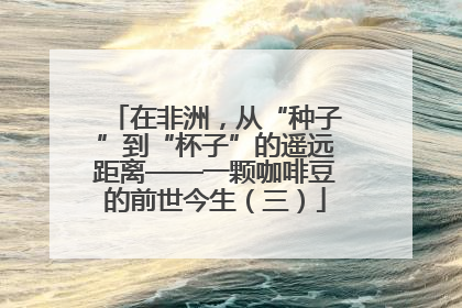 在非洲，从“种子”到“杯子”的遥远距离——一颗咖啡豆的前世今生（三）