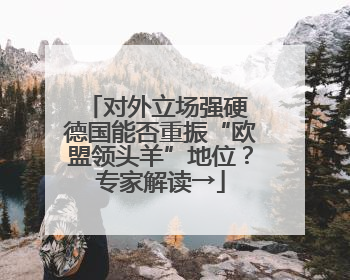 对外立场强硬 德国能否重振“欧盟领头羊”地位？专家解读→