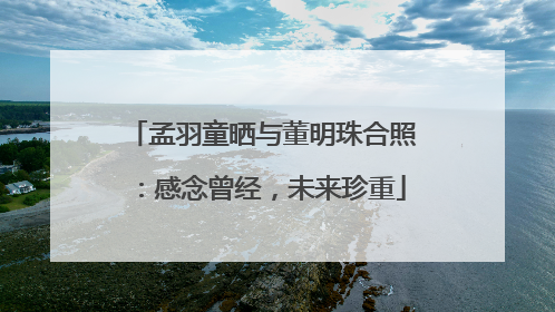 孟羽童晒与董明珠合照：感念曾经，未来珍重